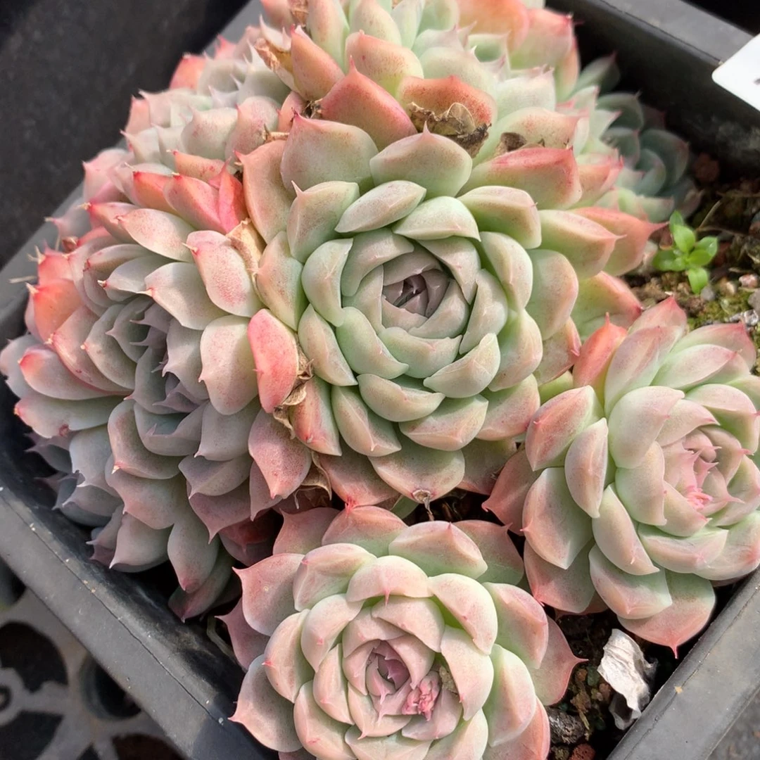 745新年快乐发发发