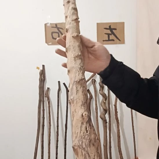 原木直播精品原木