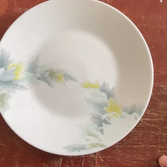 瓷片陶瓷陶瓷22.5厘米