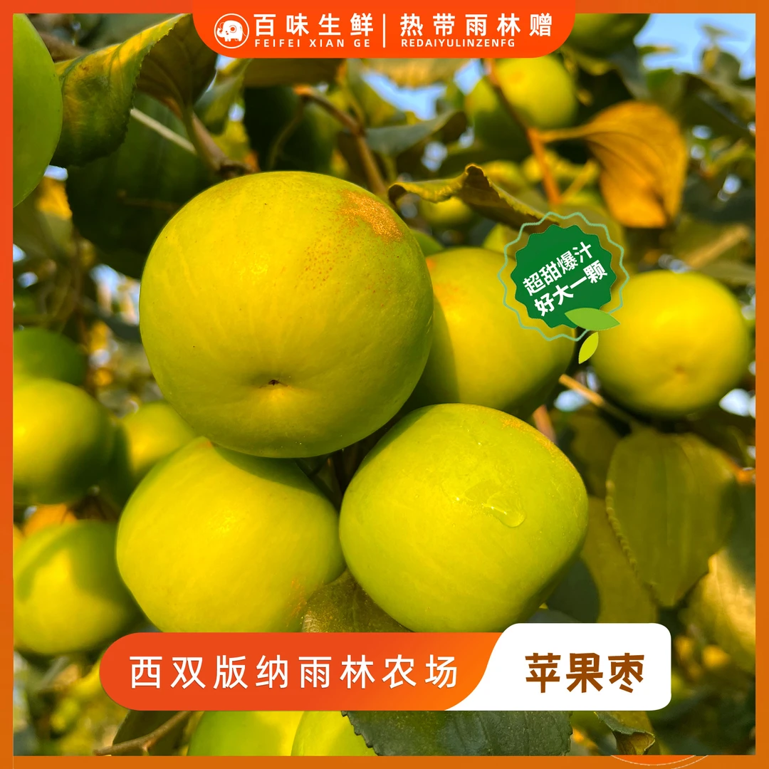 云南西双版纳苹果枣青枣脆甜产地直发当季水果孕妇水果花皮糖斑