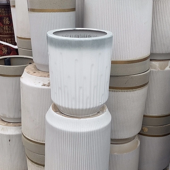 渐变绿音符中口26高33福利