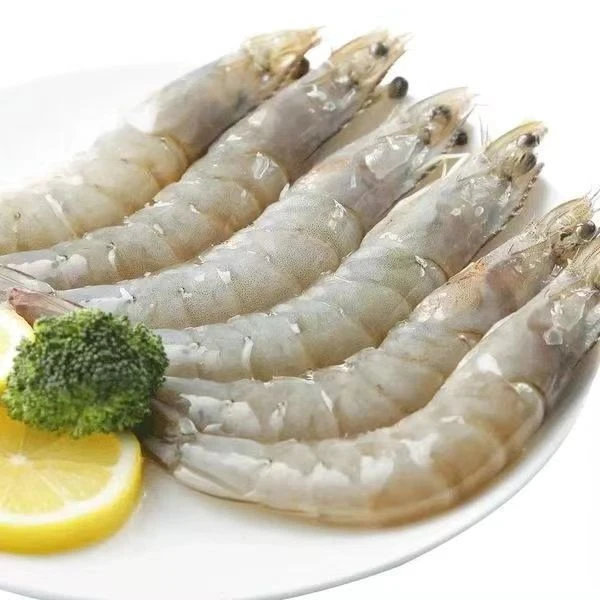 海水大虾5斤 13-16cm（60-75只左右）速冻锁鲜 12-15只/斤 5包