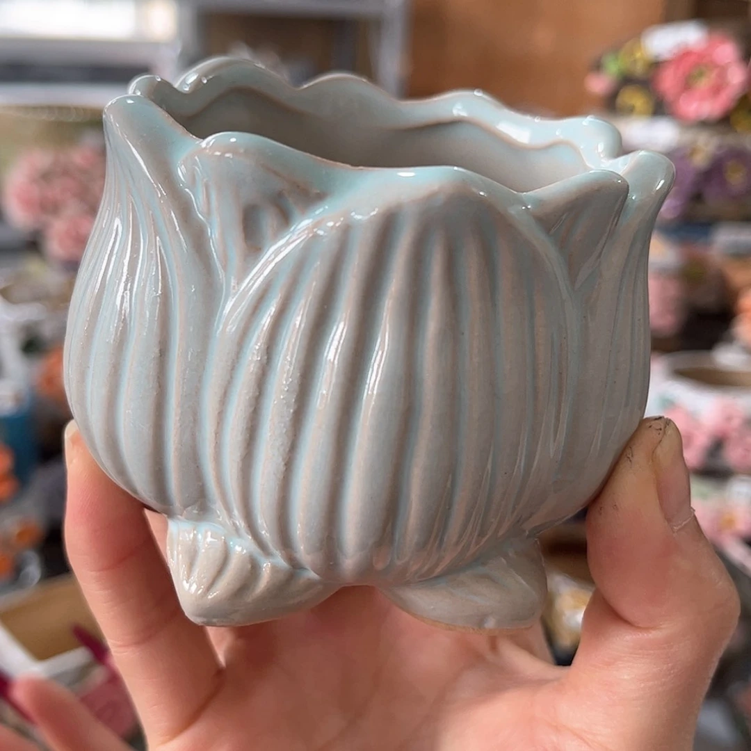 【闪购商品】红陶福利