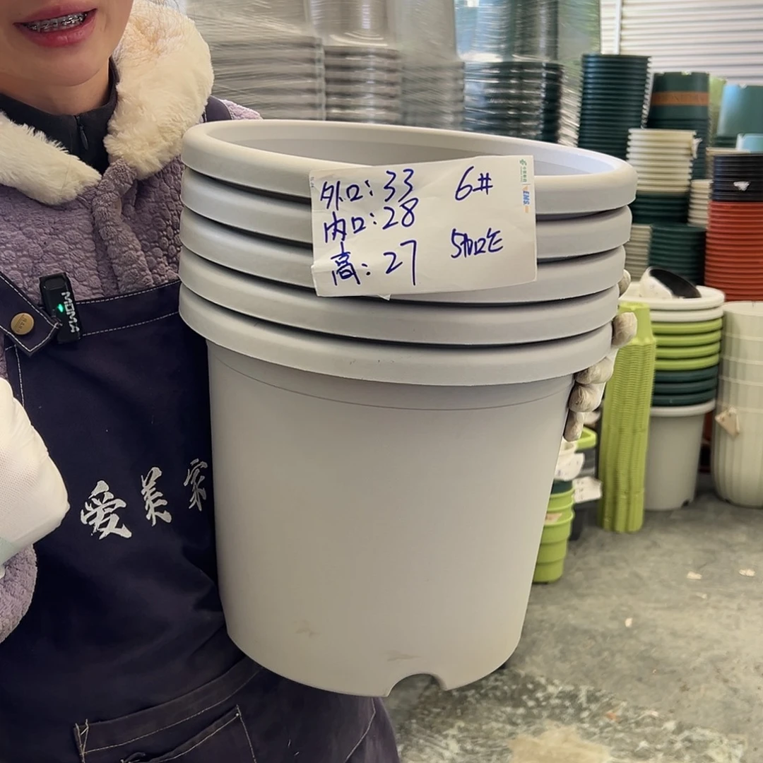 四季盆6#灰白5个无托