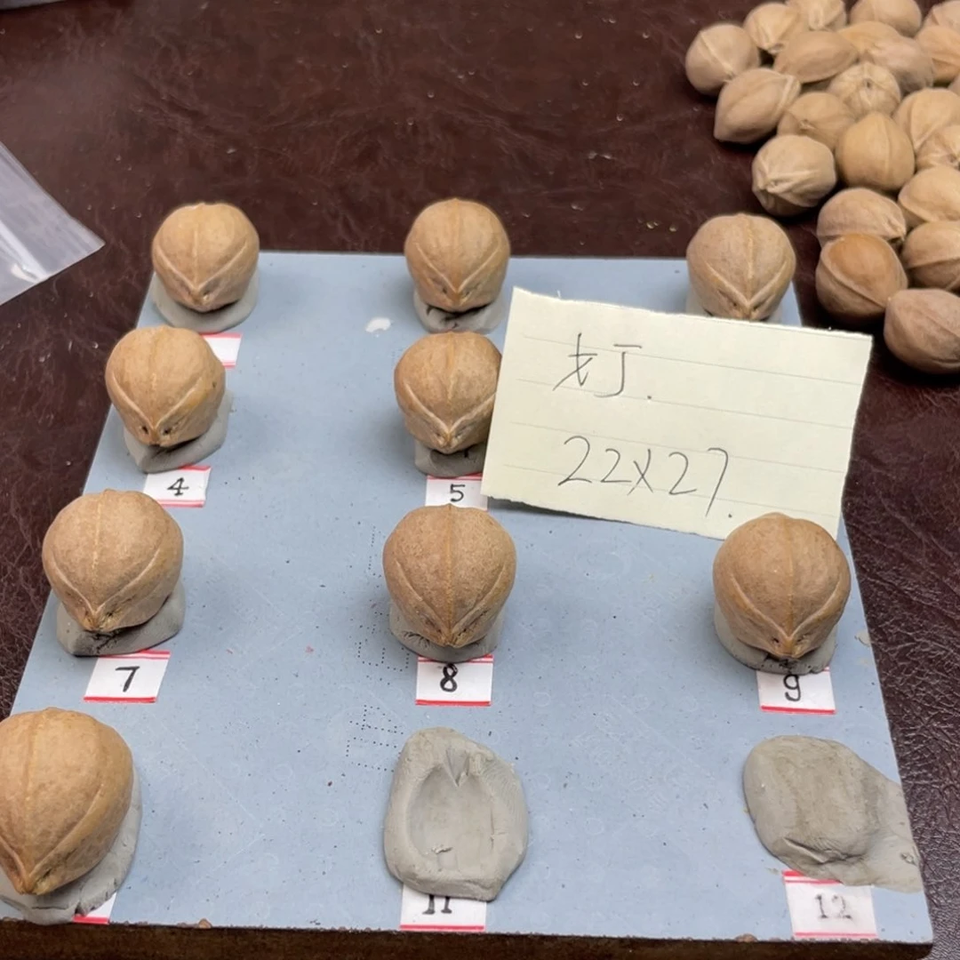 手串/手链橄榄核戈*22.27梅林铁核