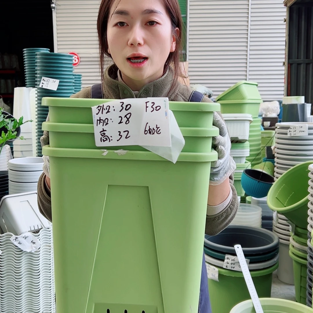 方盆F30果绿3个无托