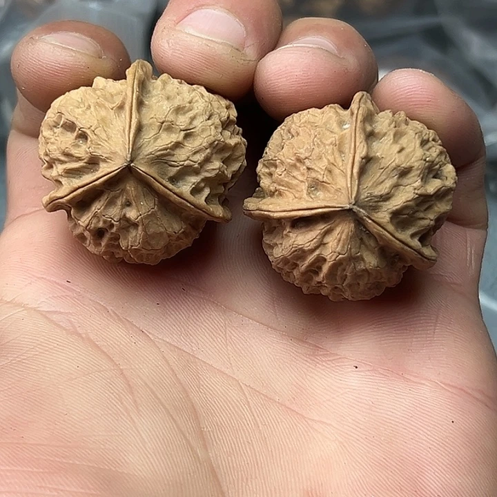 文玩核桃把件27号手捻三楞34尺