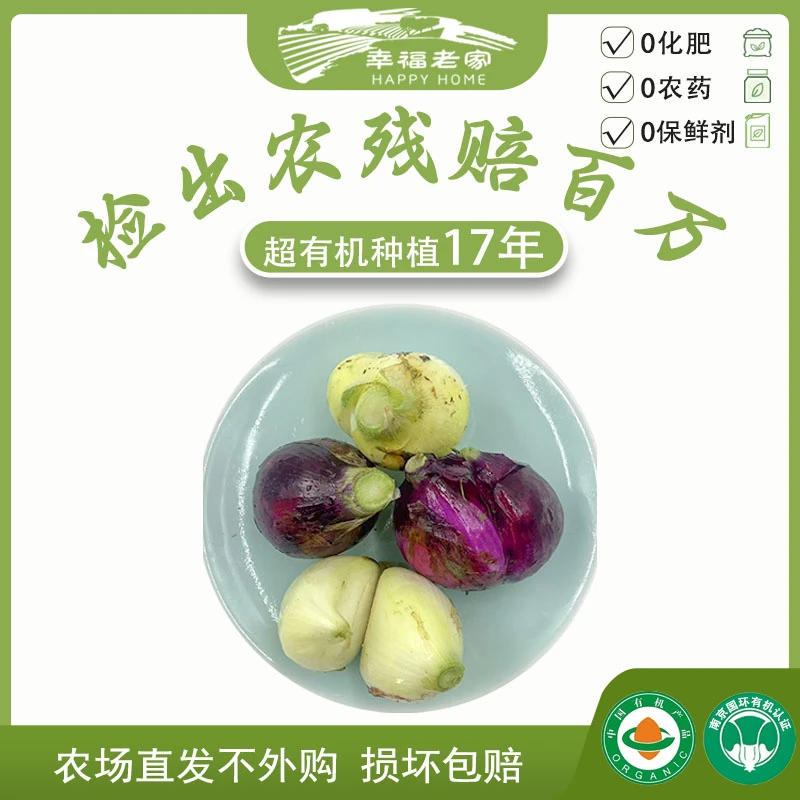 幸福老家瑕疵有机圆葱头5斤 新鲜采摘农场直发 甜辣可口凉拌炒食