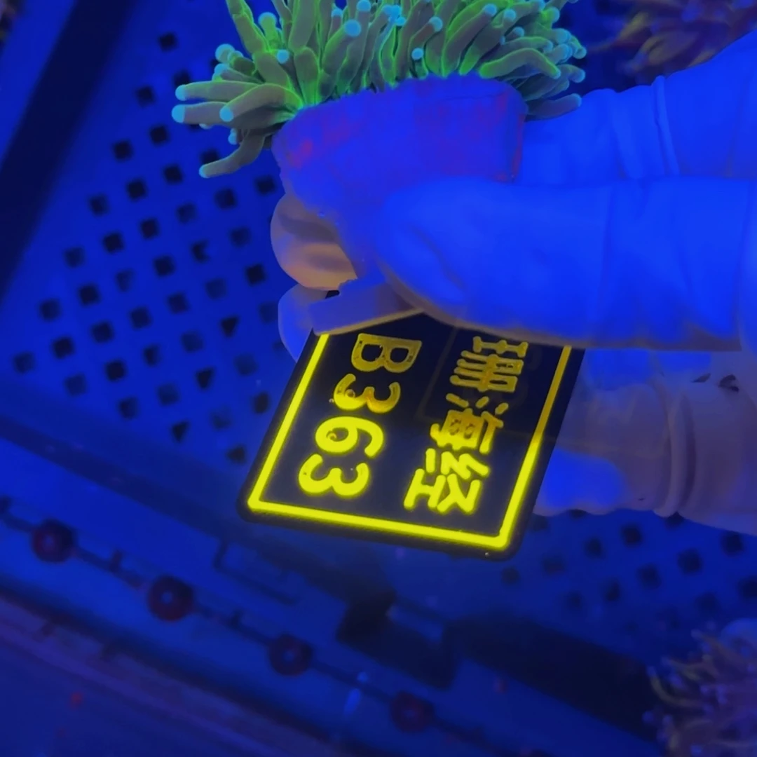 纽扣珊瑚初****宝晓晓不包邮绿火柴B363