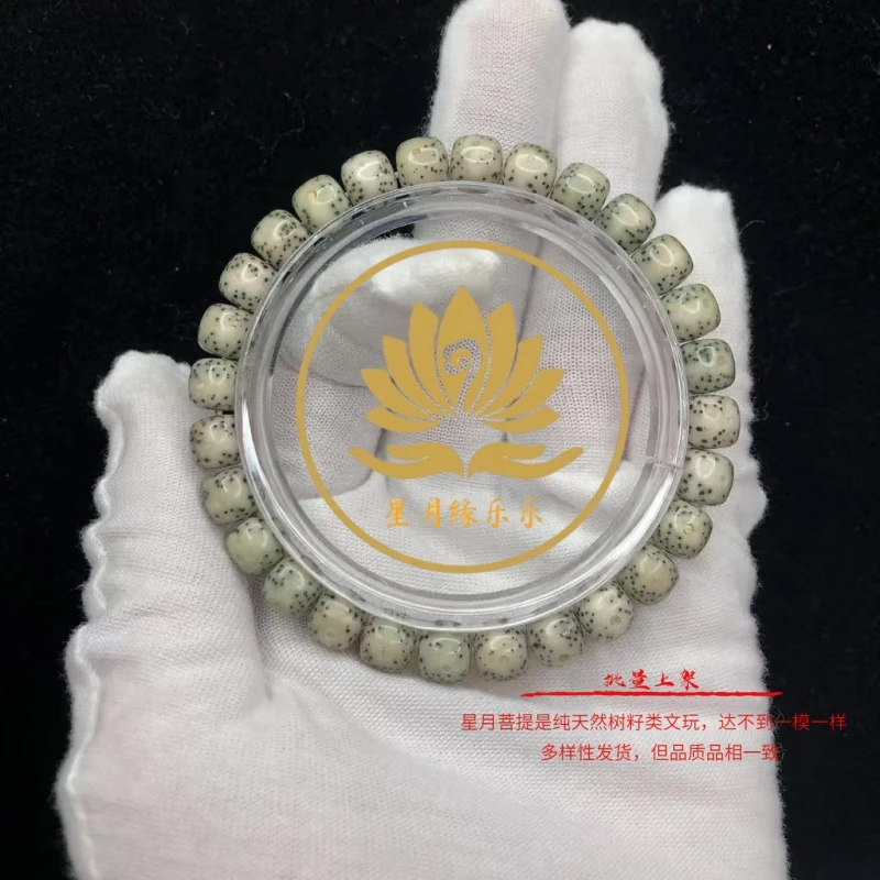 ZT19原生态星月菩提手串小细星8*7mm文玩好物【多样性发货】