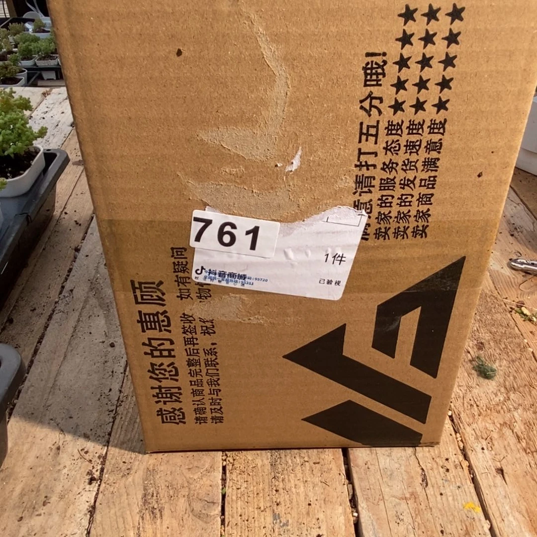 三**夏枝干番杏多肉植物761