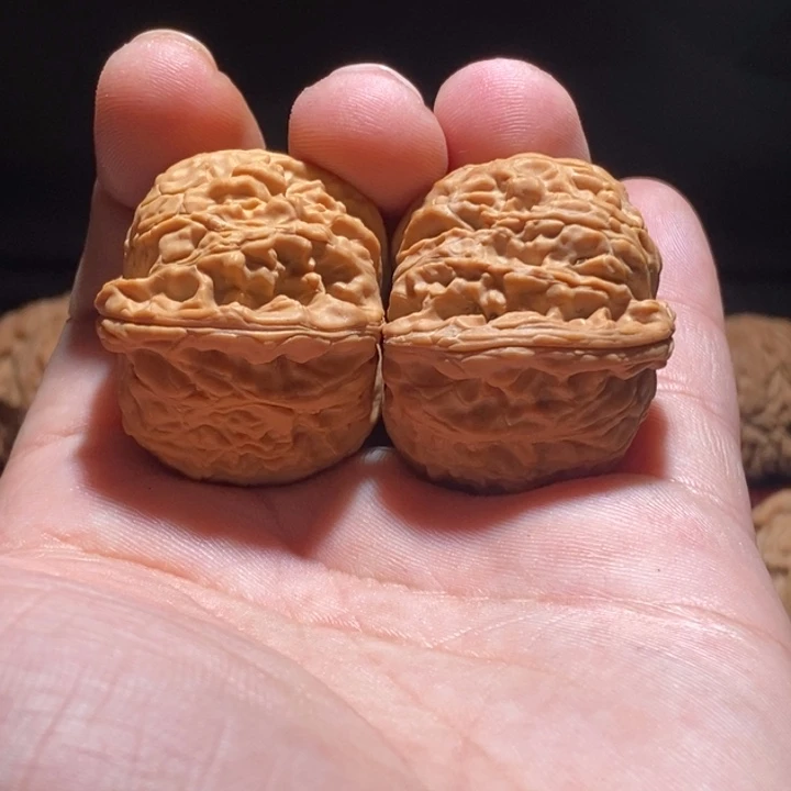 把件文玩核桃37尺白狮子