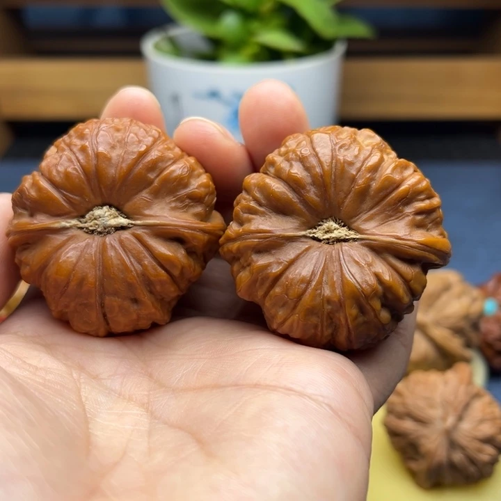 45全品南瓜墩狮子头