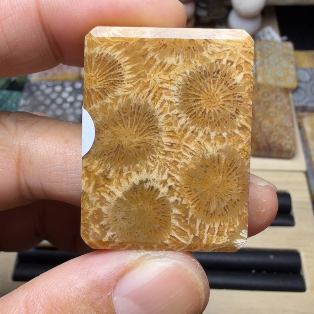 硅化玉未镶嵌纯天然色有机玉石保真色