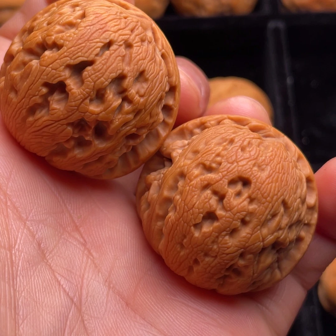 文玩核桃把件秦岭野生植物