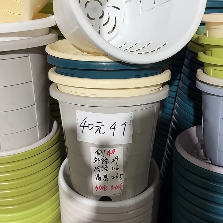 测4#口径29无托灰白4个