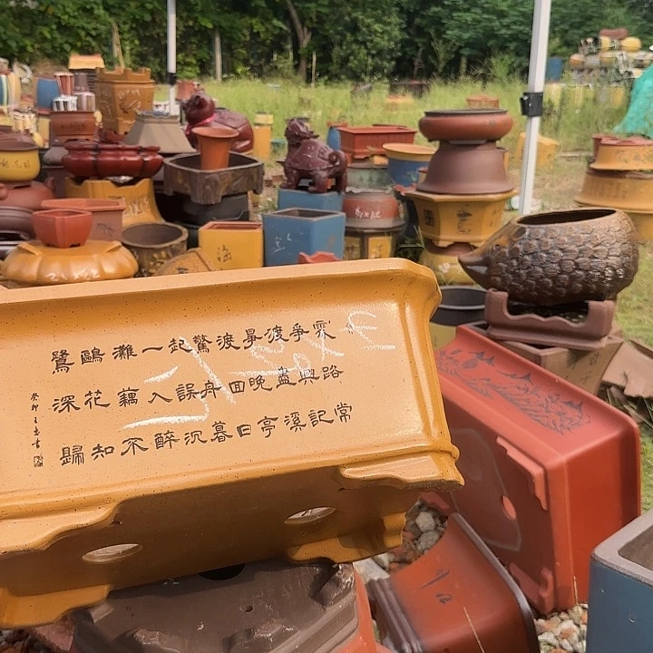 花盆紫砂紫砂花盆