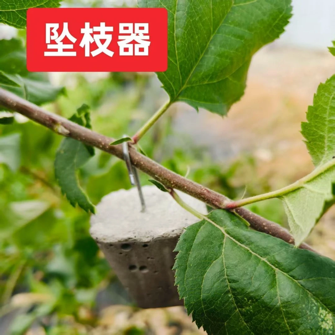 果树枝条拉枝定型器坠枝定型神器苹果树拉枝定型弯枝器新款定型器