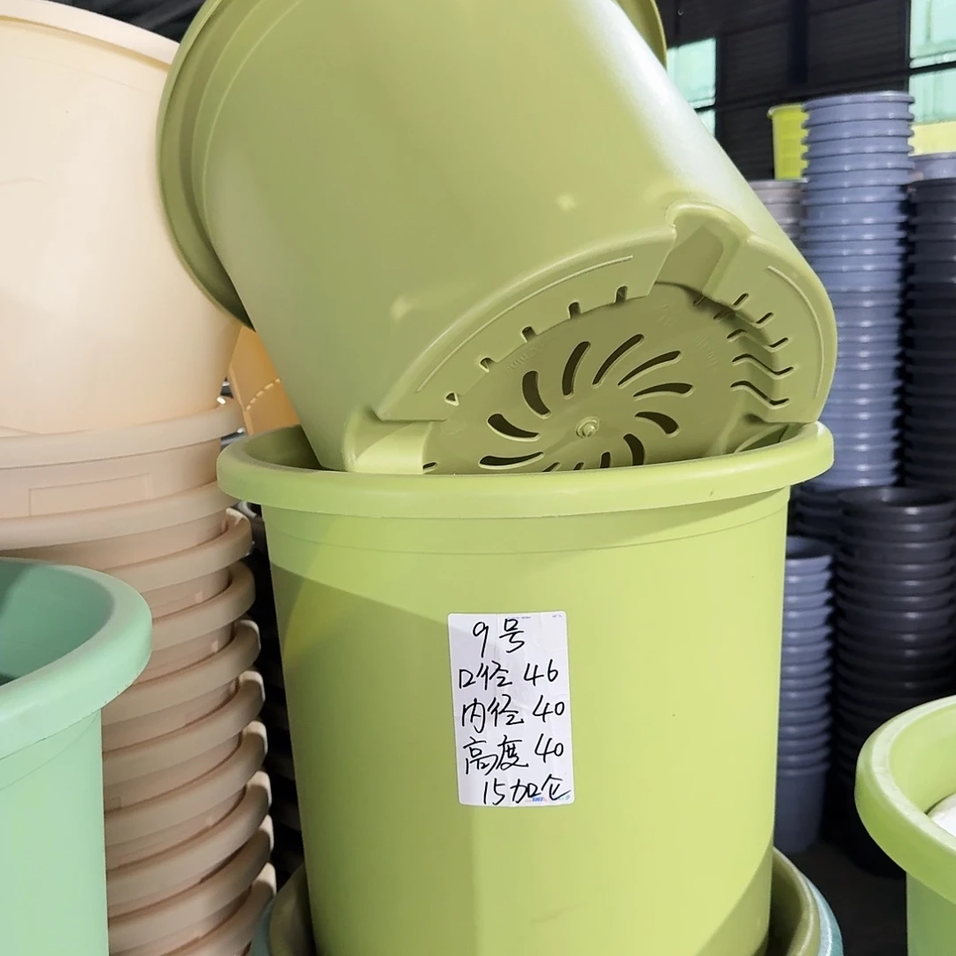 微瑕9#口径46无拖果绿3个