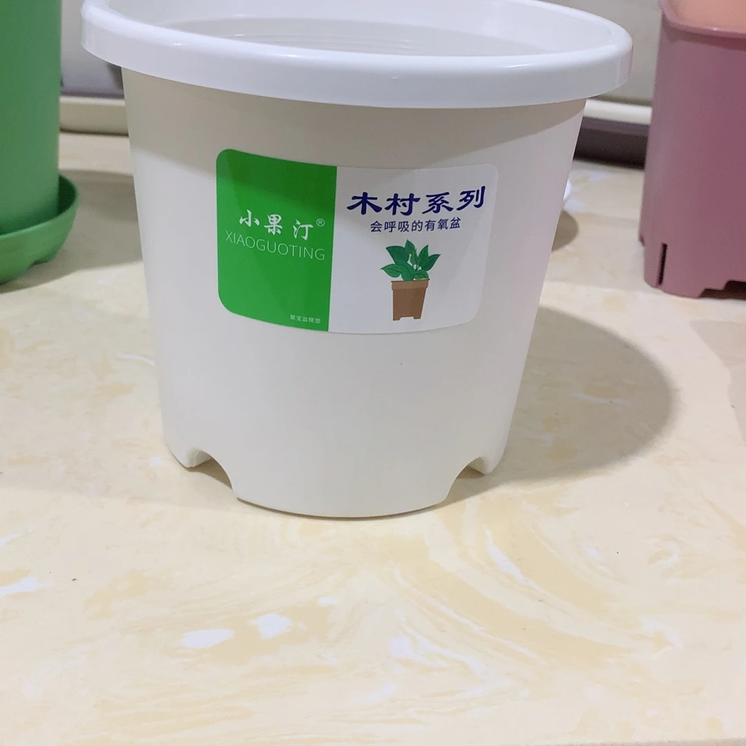 四季口15白10个无托