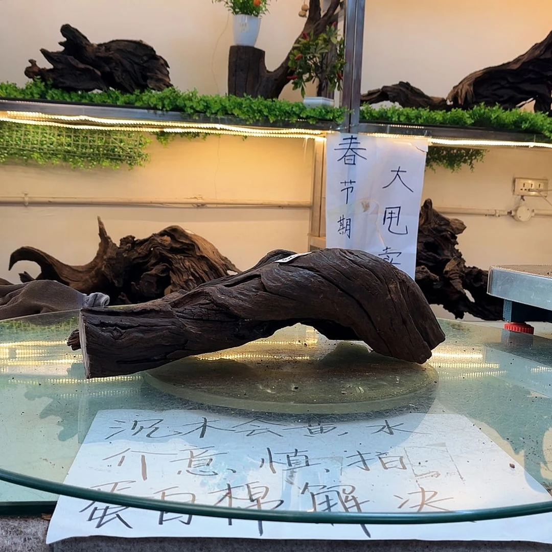 柚木沉木鱼缸造景
