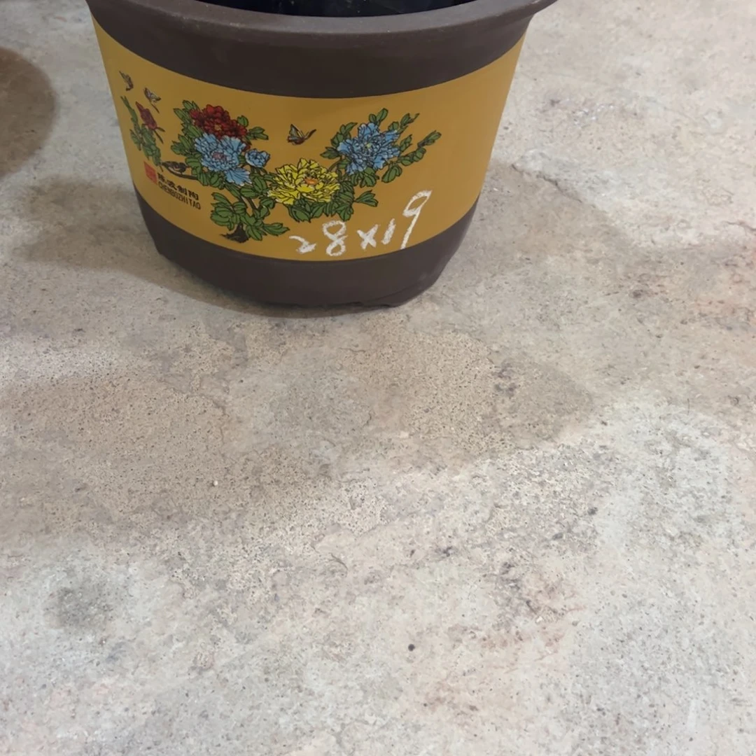 紫砂工艺厂……紫砂工艺厂……