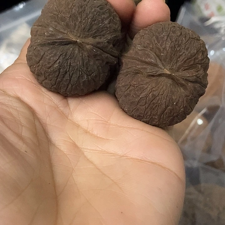 把件文玩核桃云南铁核桃基地65