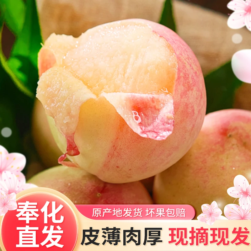 【顺丰速发】正宗蜜露水蜜桃  现摘现发 新鲜水果桃子浙江省3-5两浙江省