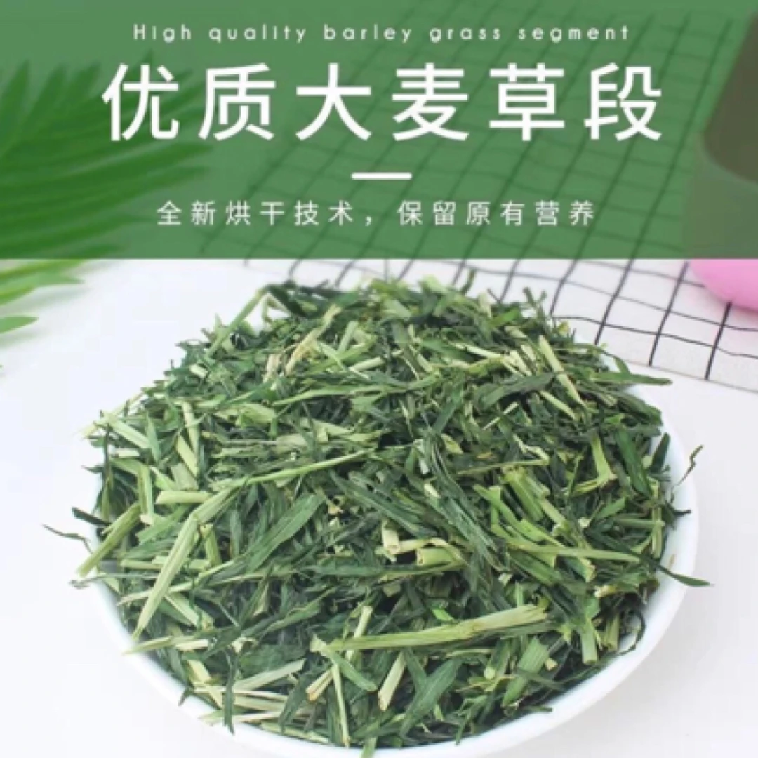 烘干大麦草干草草兔子草段