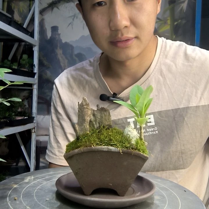 豁*牙中青园艺一物一拍164
