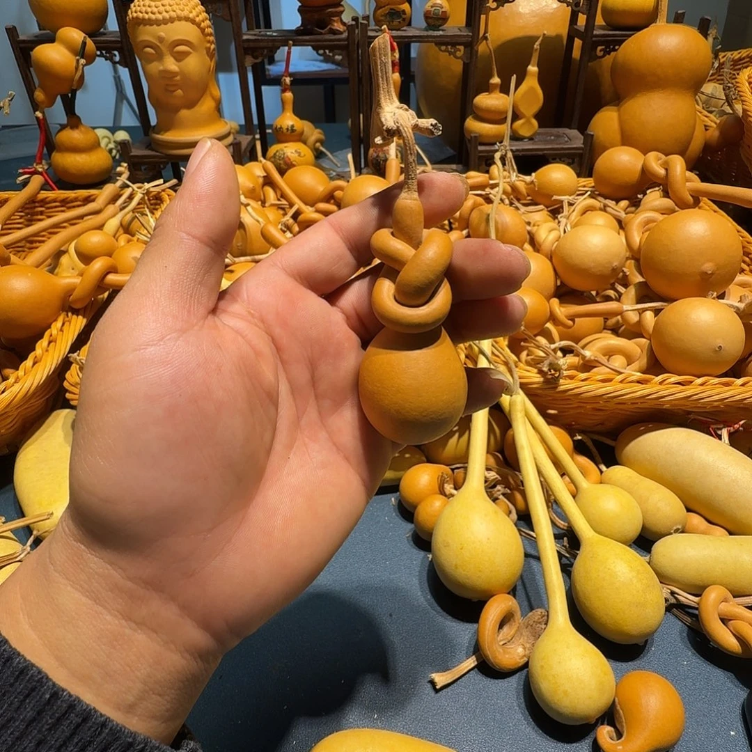 阿****葫芦等农作物和经济适用技术开发