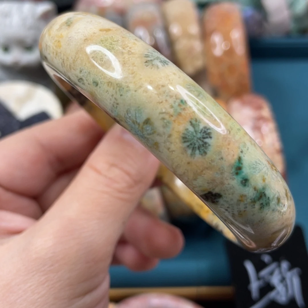 未镶嵌手镯硅化玉