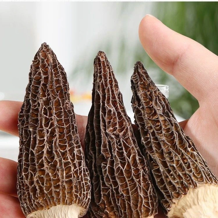 250克羊肚包装袋自封袋羊肚菌礼品袋500克羊肚菌塑料密封拉链袋