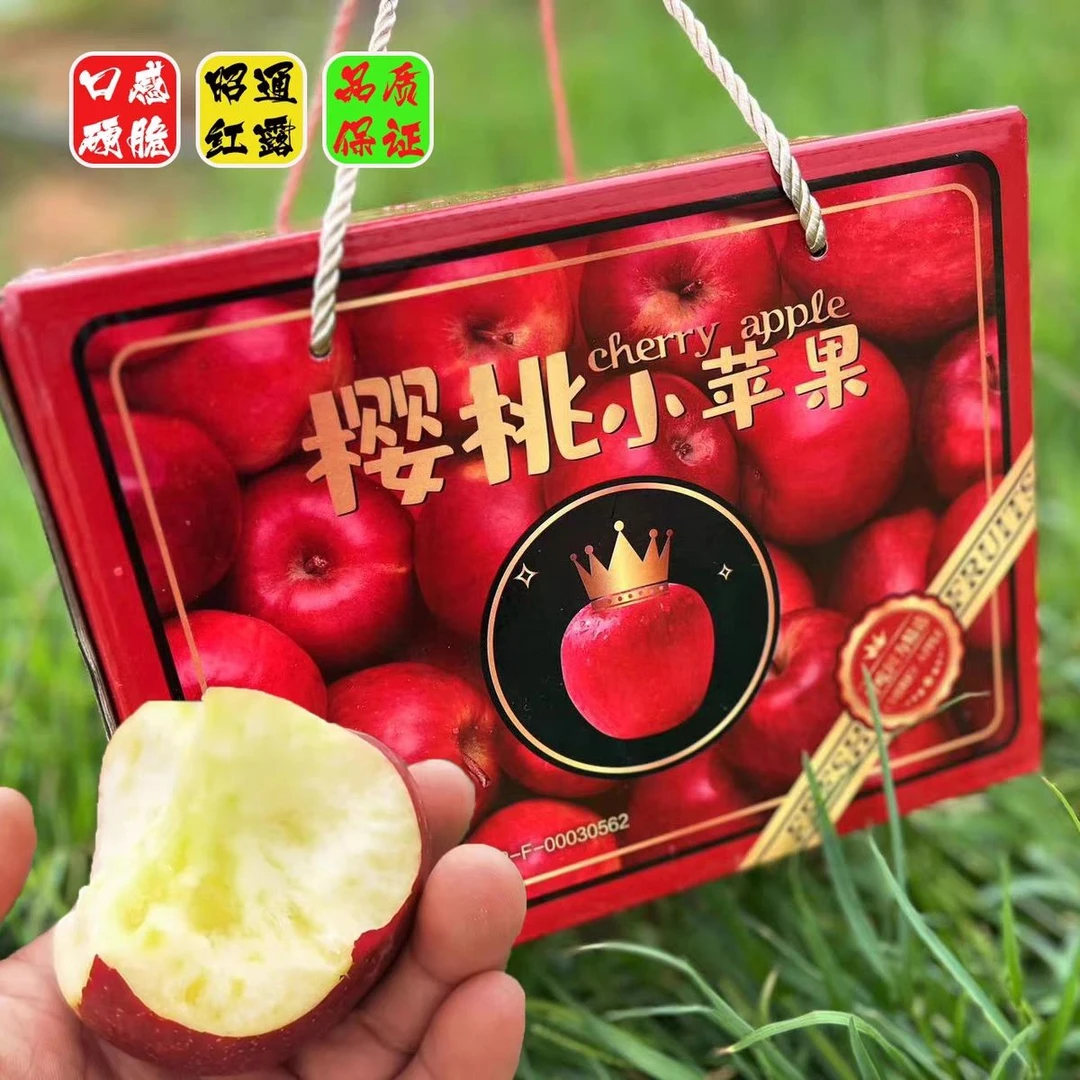 樱桃小苹果正宗新鲜采摘不打蜡樱桃苹果净果2.5斤 内附果径卡