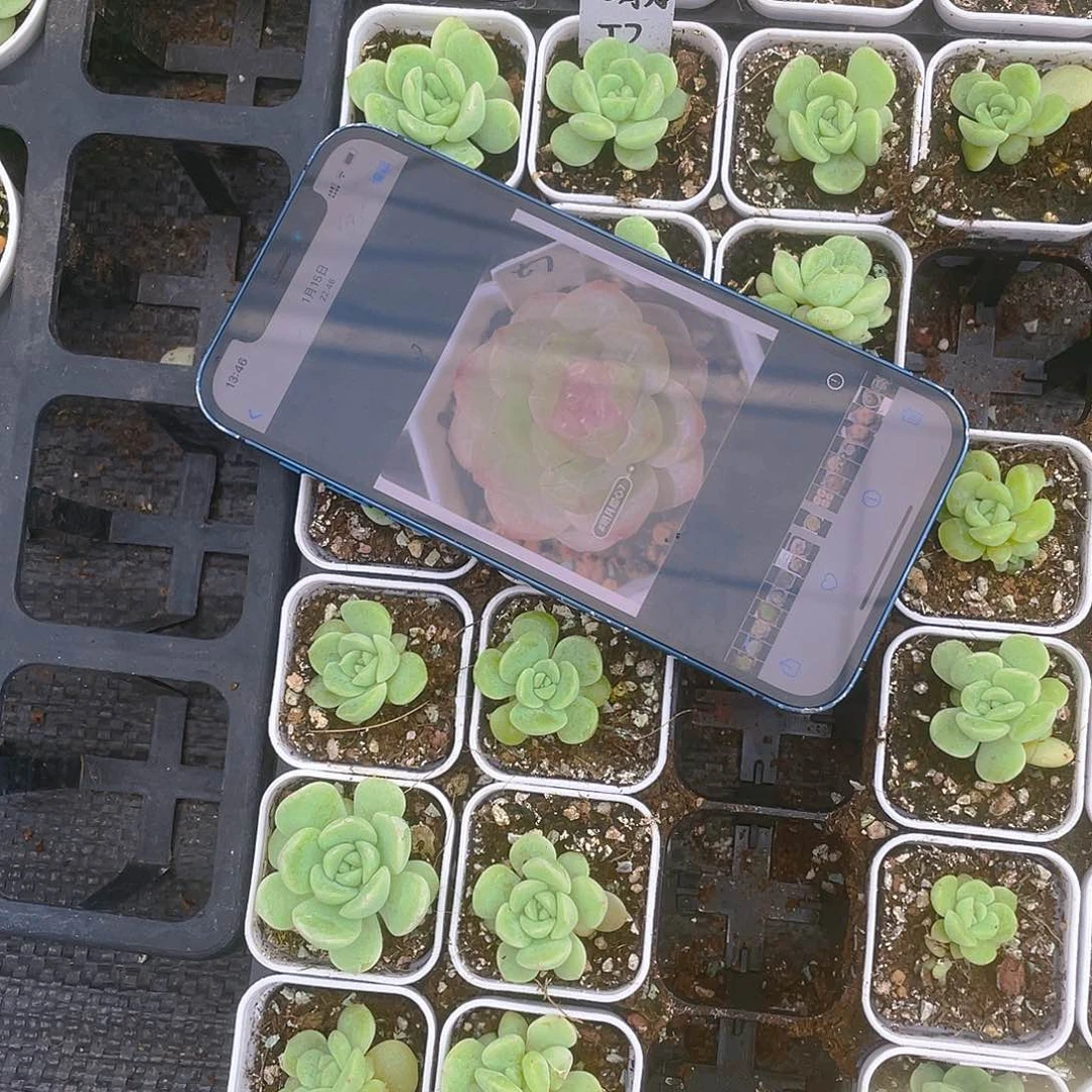 明月T7 中盆一个满25包邮