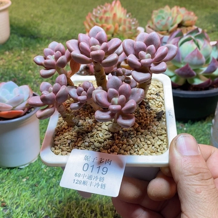 0119啊啊啊啊啊啊啊啊啊啊