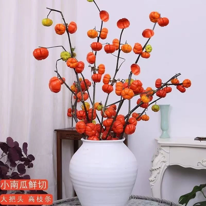 【收到货先倒挂晾干，少量损耗不售后】云南脱水皱皮半干小南瓜花材