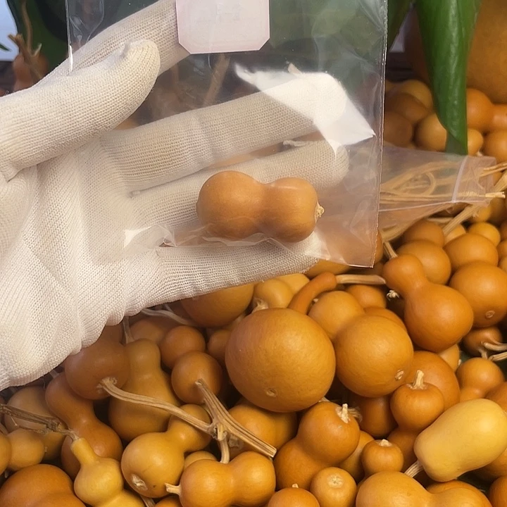 合*月合一月专拍专拍专拍