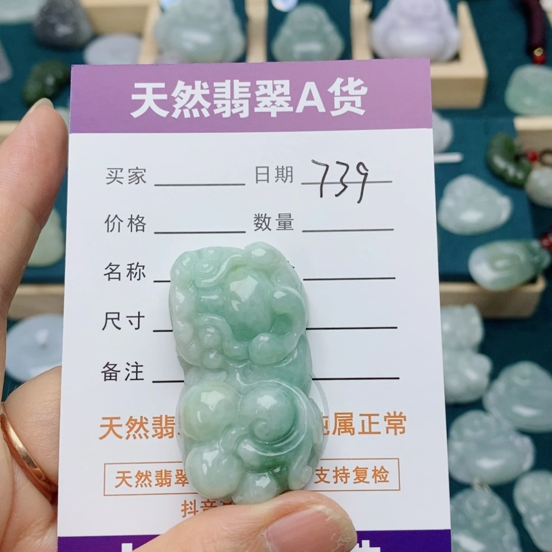 翡翠未镶嵌颈饰貔貅