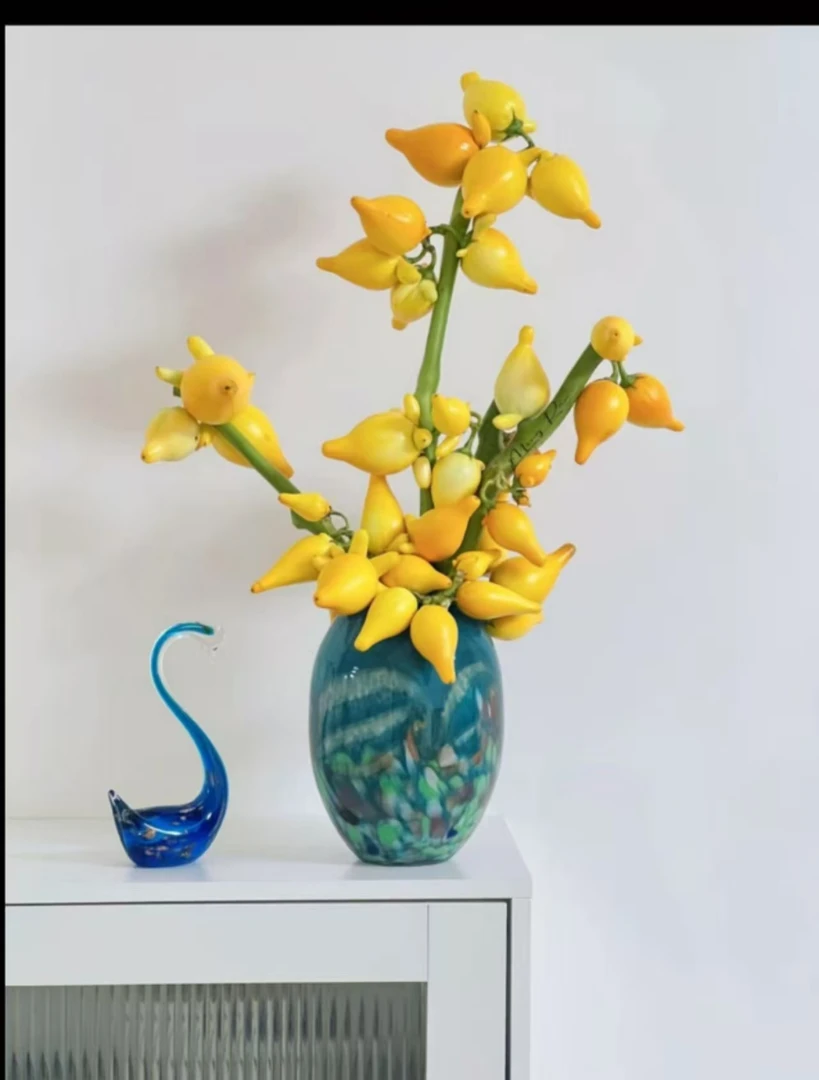 【五代果】五代同堂黄金果鲜花云南直发五袋果福禄果鲜切花五指茄