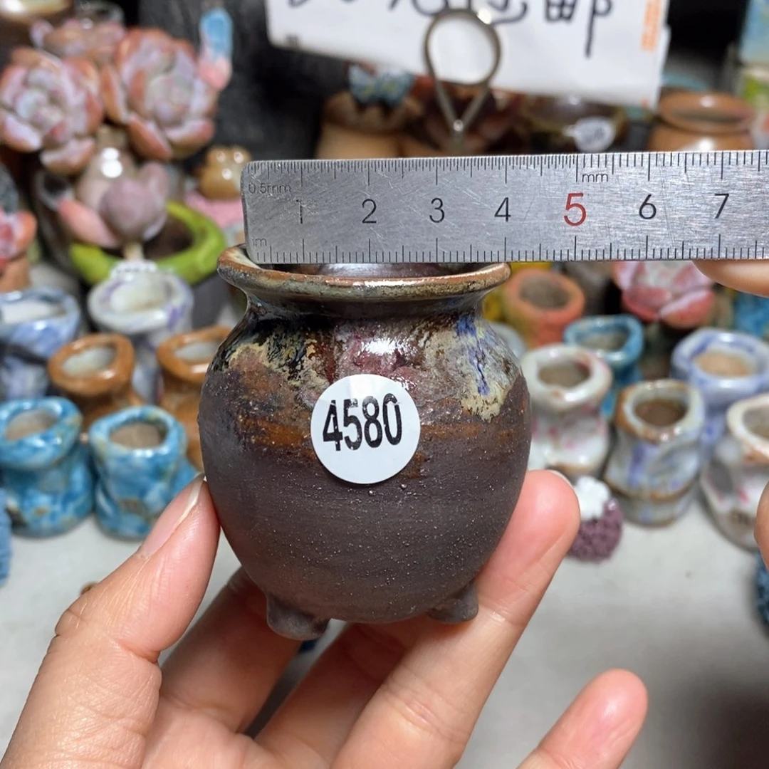 拍5送一个小礼物