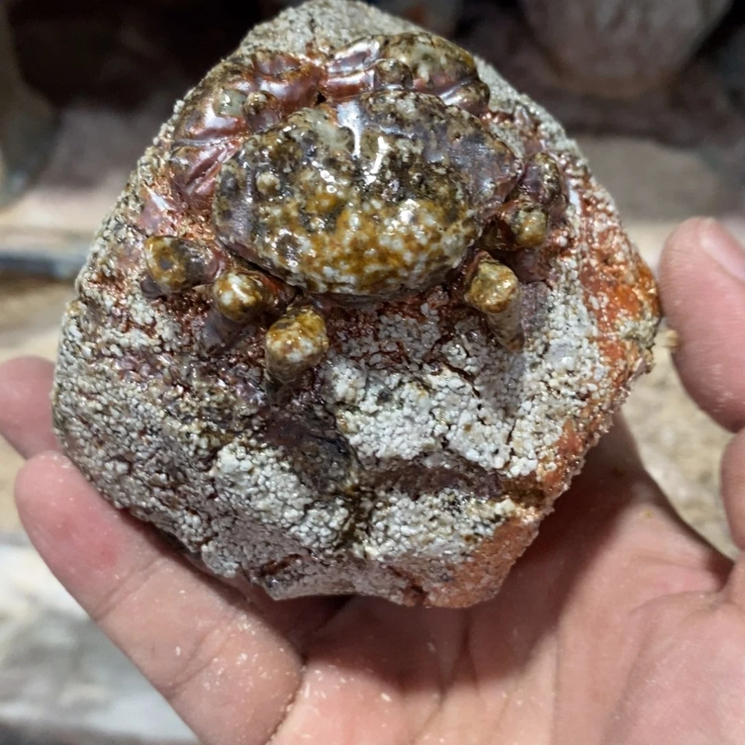 开窑大吉，高货多多103