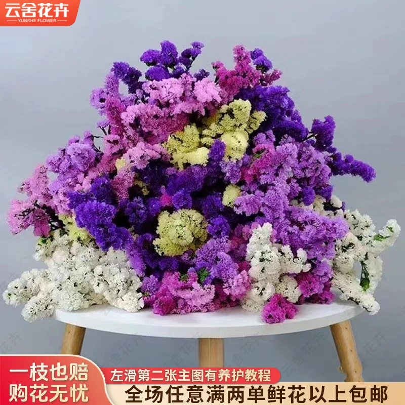 【云舍花卉】【混色】勿忘我【不保水】全场任意满两单及以上鲜花包邮