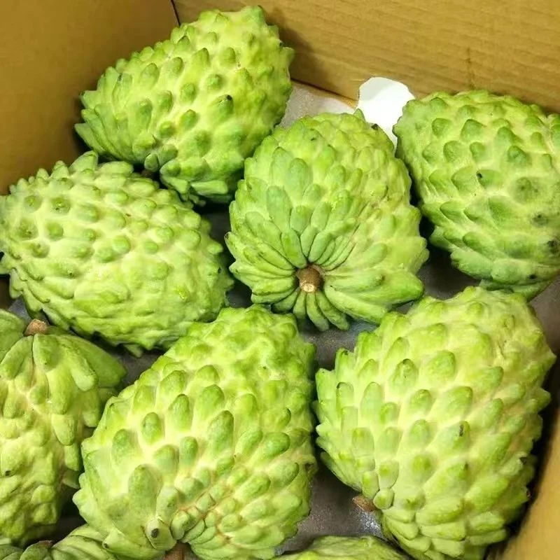 云南凤梨释迦果香甜似冰激凌口感当季水果整箱发货