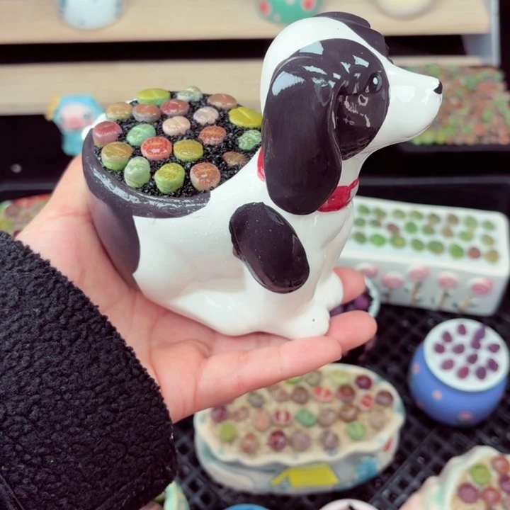 557零下地区记得拍保温箱满18包邮