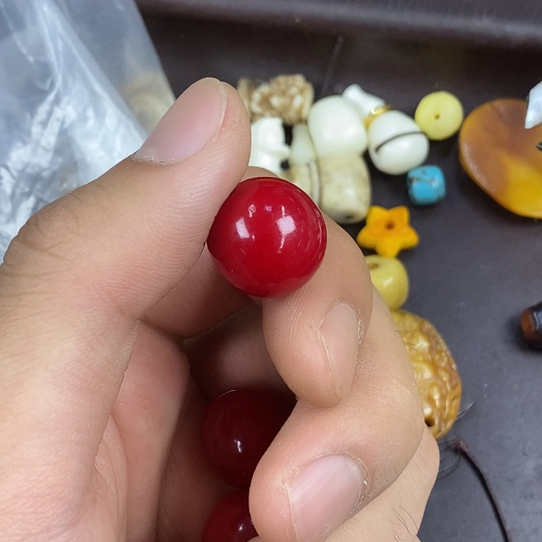 驼骨其他1.6尺寸,19