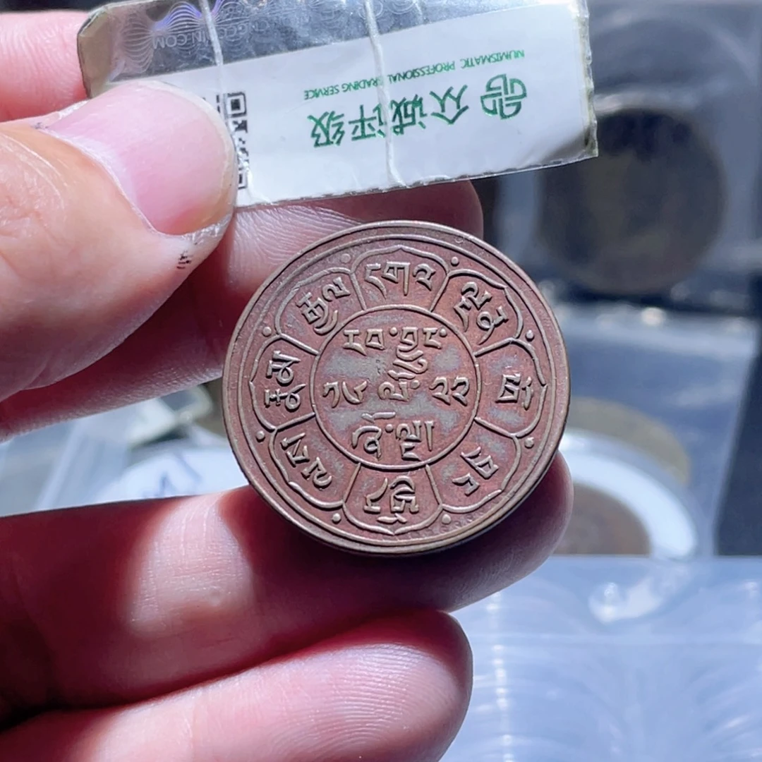 铜通古博今250927范范13