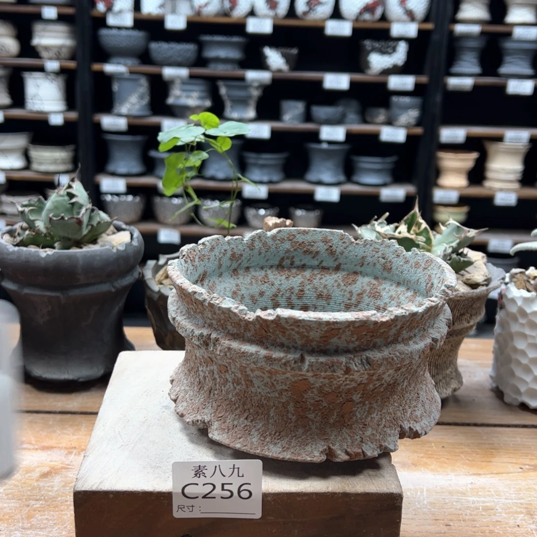 素八九陶瓷内口13.5高8?****卫