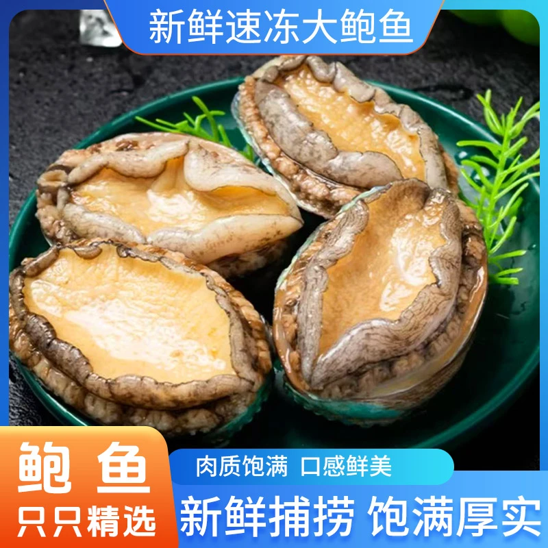 10个超大鲍鱼8-9公分 烟台长岛深海大鲍鱼 新鲜速冻冷水鲜嫩