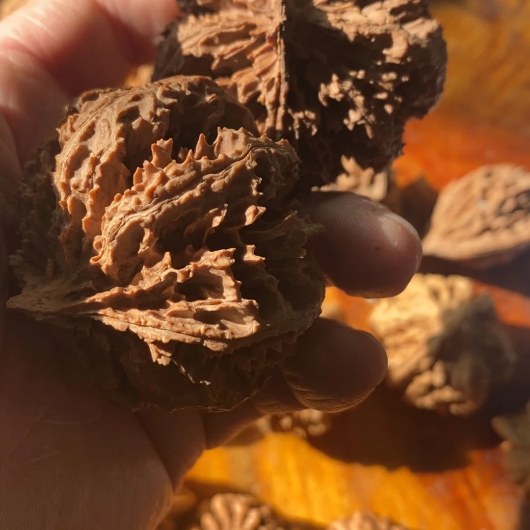 不****飞秦岭南侧和东北北部分别